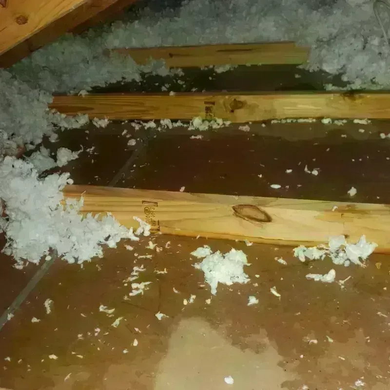 Attic Water Damage in Columbia County, WI