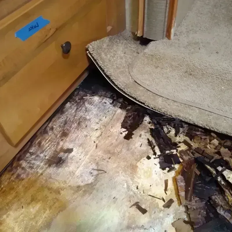 Wood Floor Water Damage in Columbia County, WI